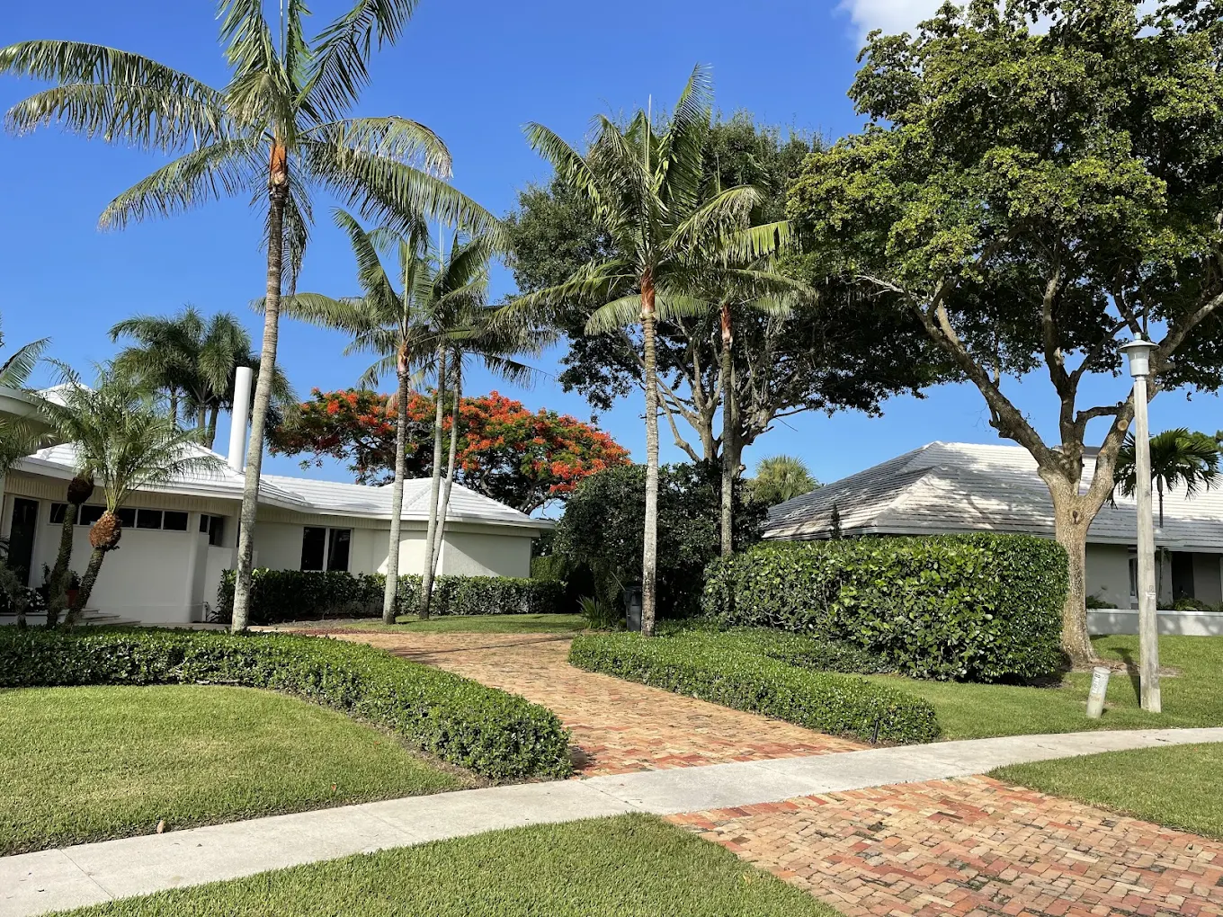 Tree Trimming - Professional landscaping service by 3H Landscaping