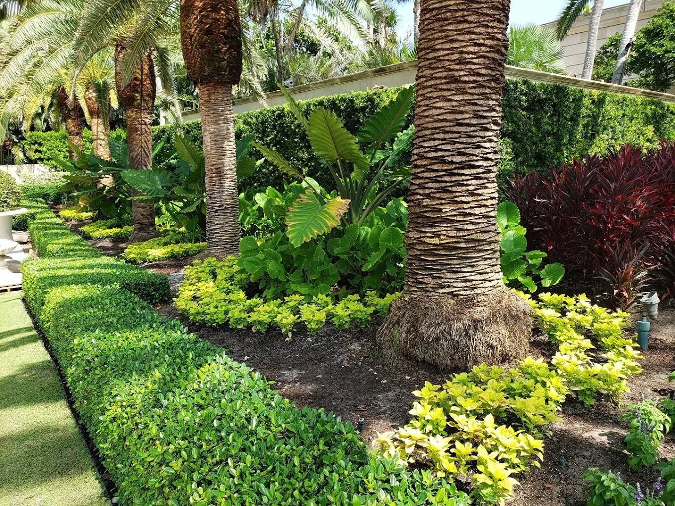 Stump Removal - Professional landscaping service by 3H Landscaping